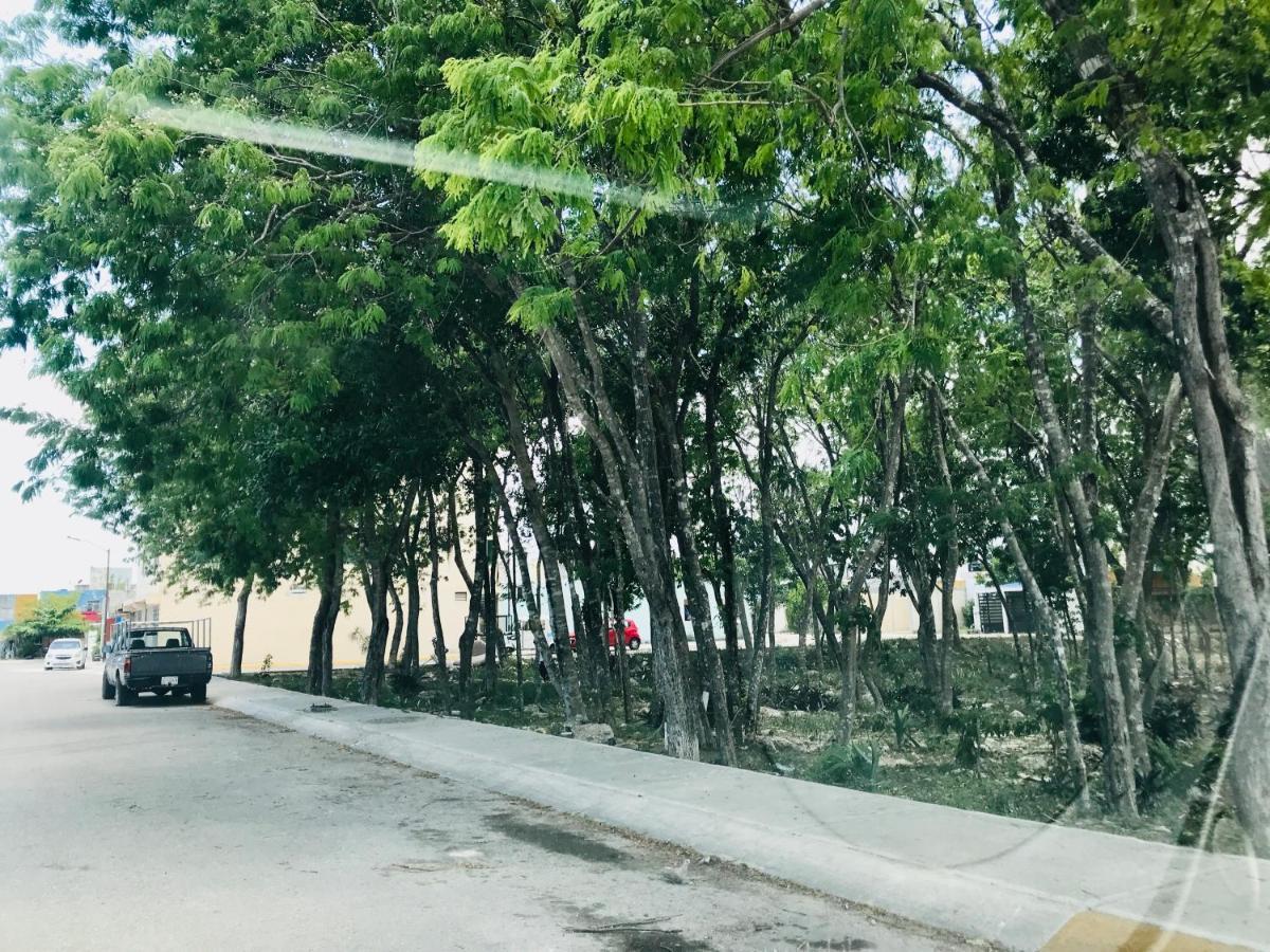 Cozy Tiny Studio Acasadialexplayadelcarmen 신데 델 카르멘 외부 사진